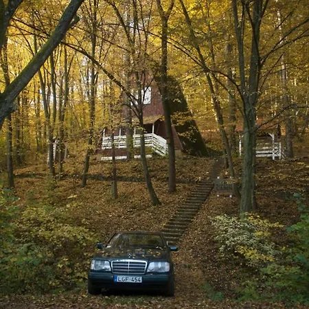 Noszvaj Cabin נושבאי