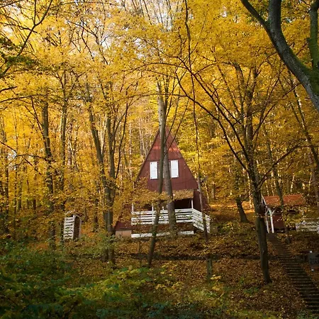 Noszvaj Cabin בקתה