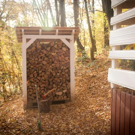 בקתה Noszvaj Cabin נושבאי