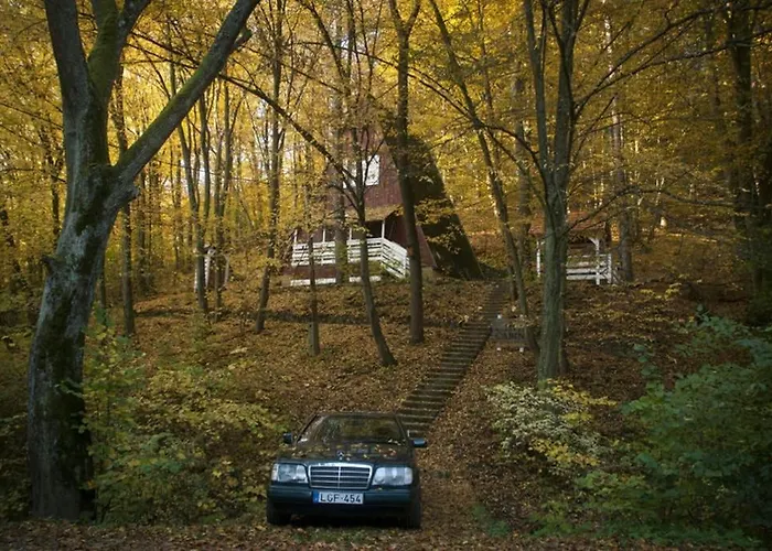 Noszvaj Cabin נושבאי